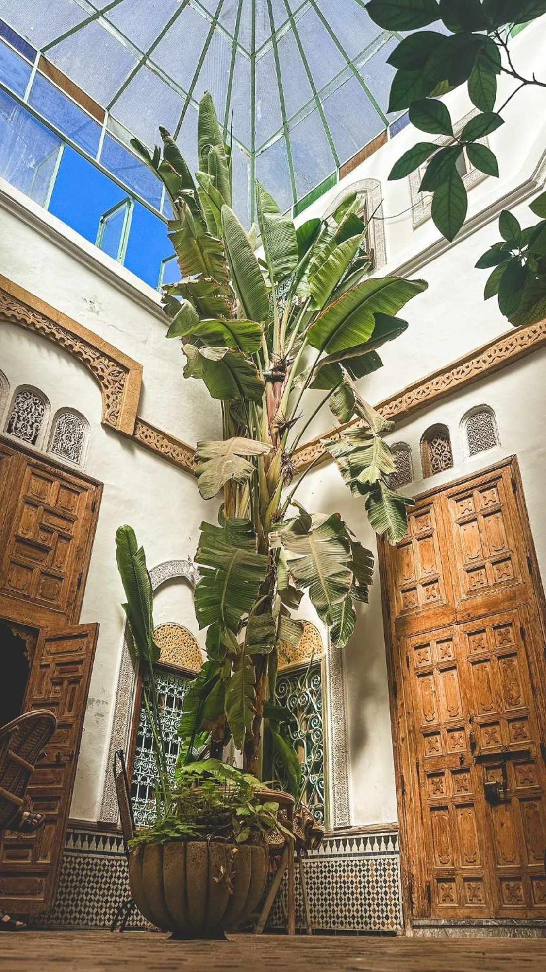 Bed and breakfast Kasbah